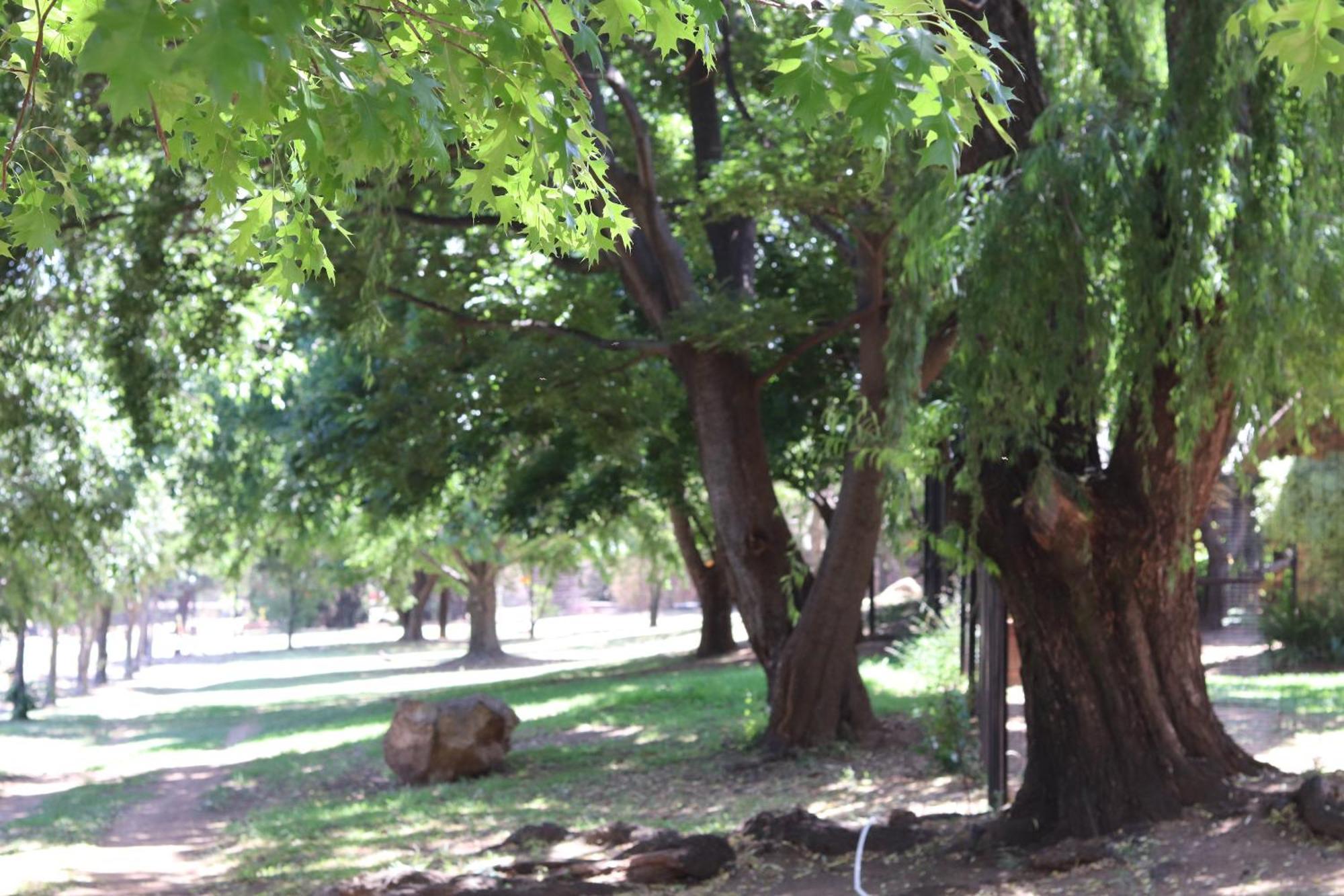 Khaya Africa Guesthouse Midrand Eksteriør bilde