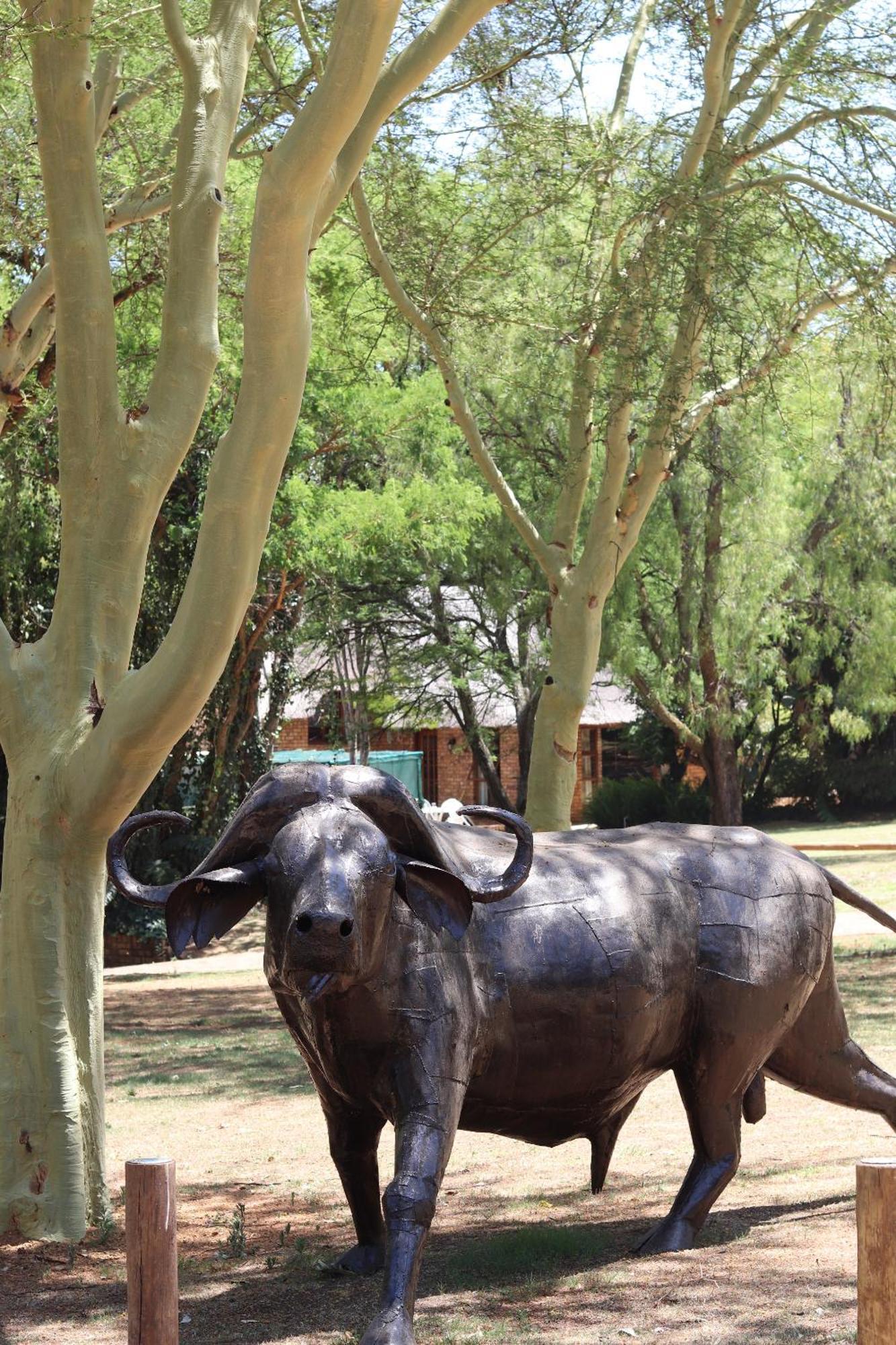 Khaya Africa Guesthouse Midrand Eksteriør bilde