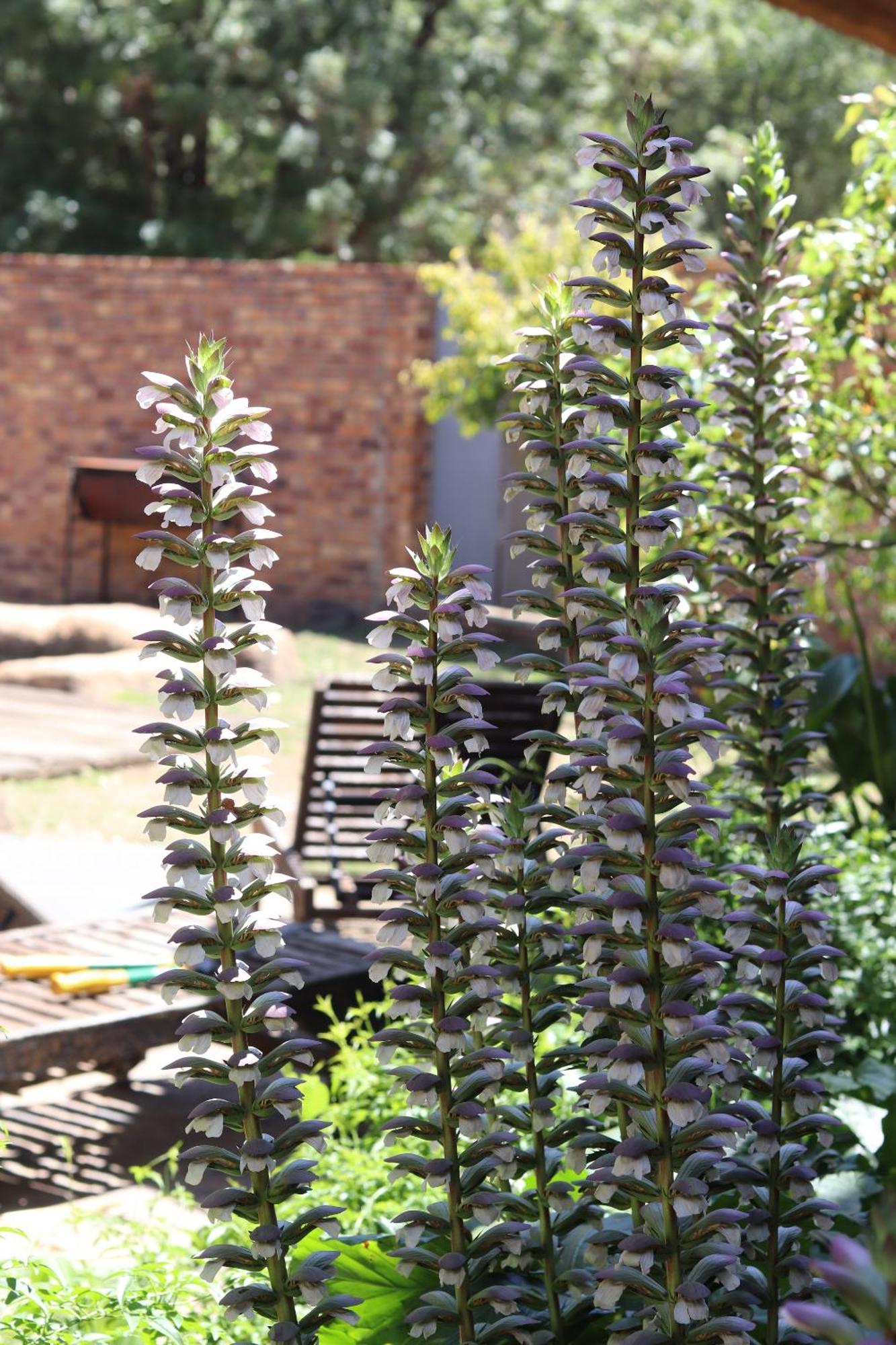 Khaya Africa Guesthouse Midrand Eksteriør bilde